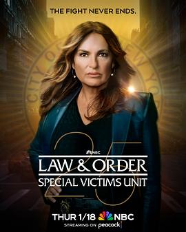 法律与秩序：特殊受害者第二十五季海报剧照